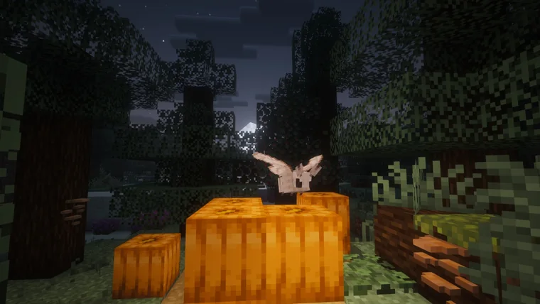 A pale moth flying at night over a patch of pumpkins in a dark forest, with a snowy peak on the horizon.