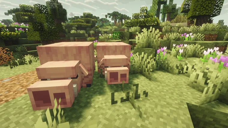 Two pigs standing in a meadow of purple flowers.
